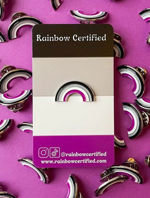 Asexual Rainbow Pin