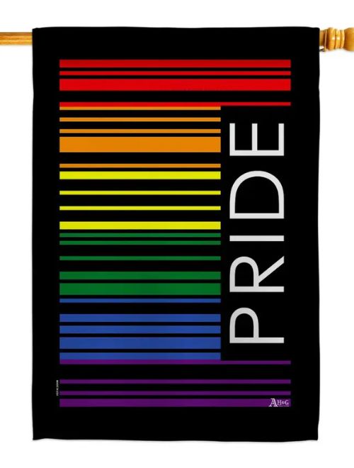 Pride Barcode Flag