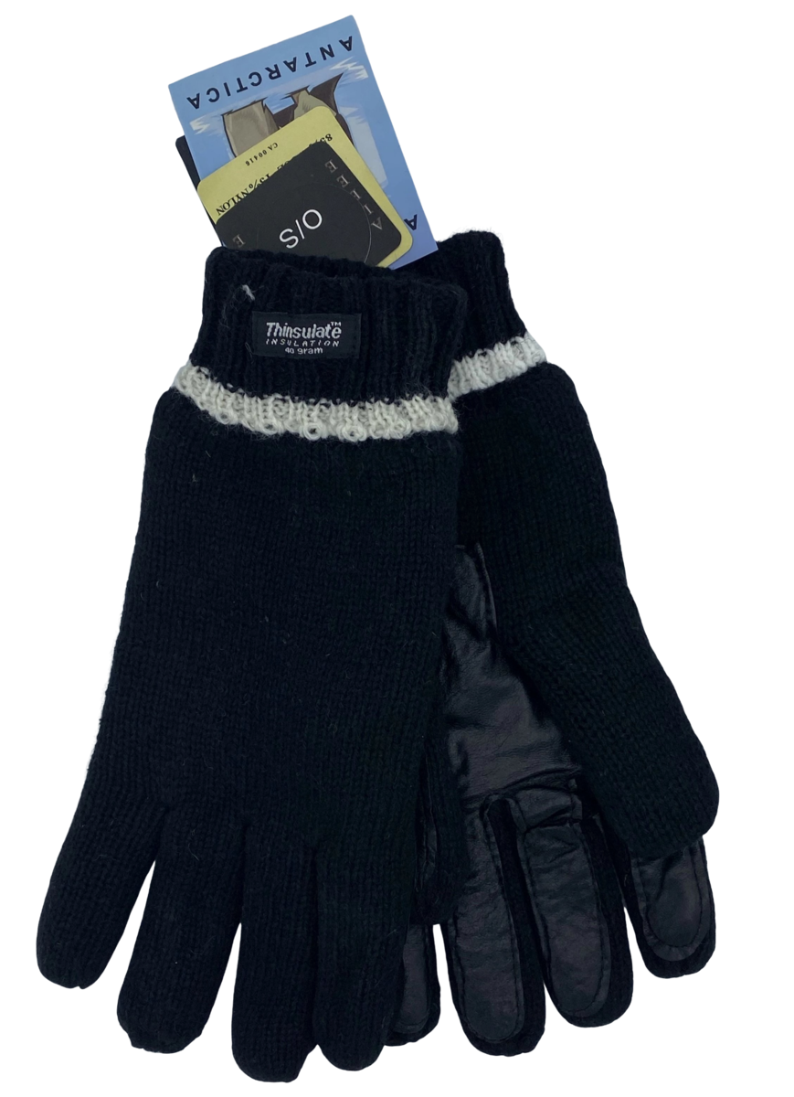 Thinsulate Gloves With Leather Palm
