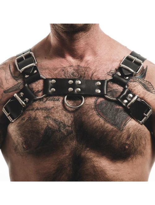 Basic Bull Leather Harness