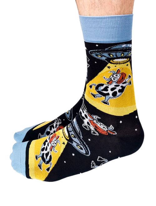Cosmic Cows