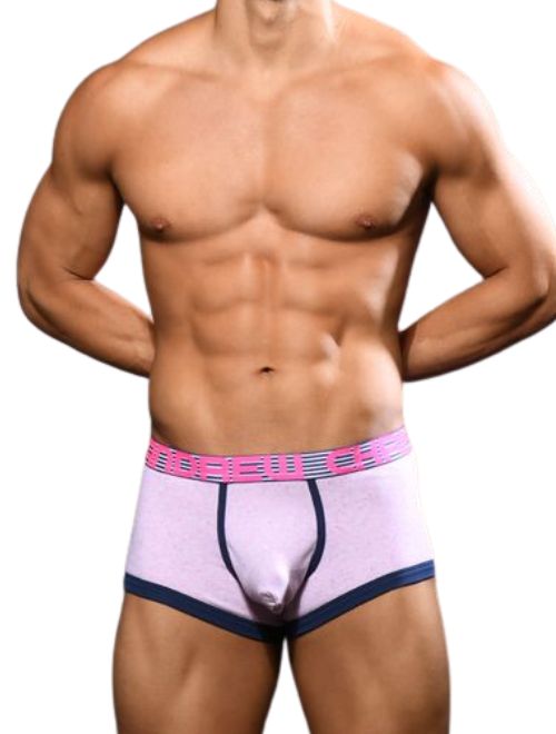 Andrew Christian Mesh Brief will Make Your Heart Flutter All Year Roun