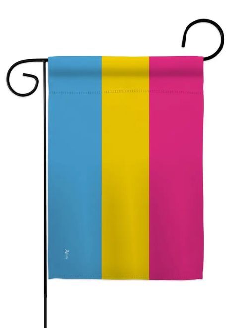 Pansexual Pride Decor Flag