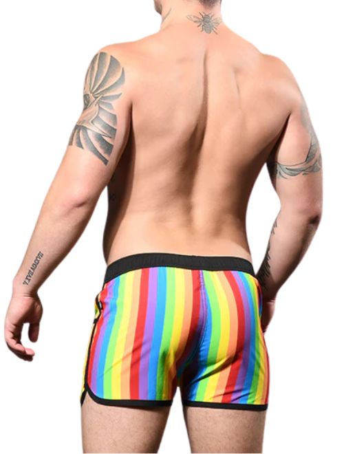 Pride Swim Shorts