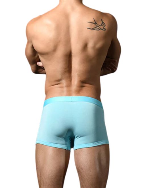 Solid Colour Modal Trunk - Sky Blue