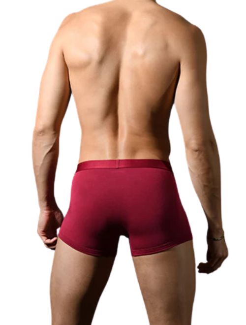 Solid Colour Modal Trunk - Burgundy