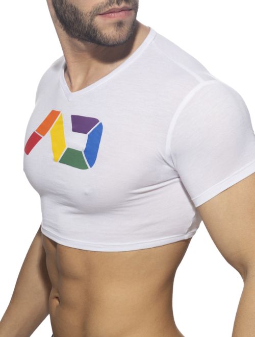 Rainbow Croptop