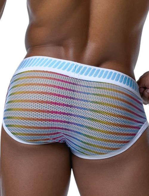 Prism Brief