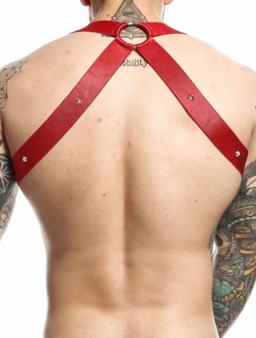 Crossback Harness with C Ring - Red