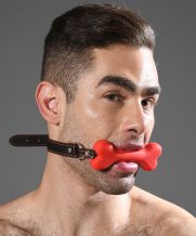 Trophy Boy Dog Bone