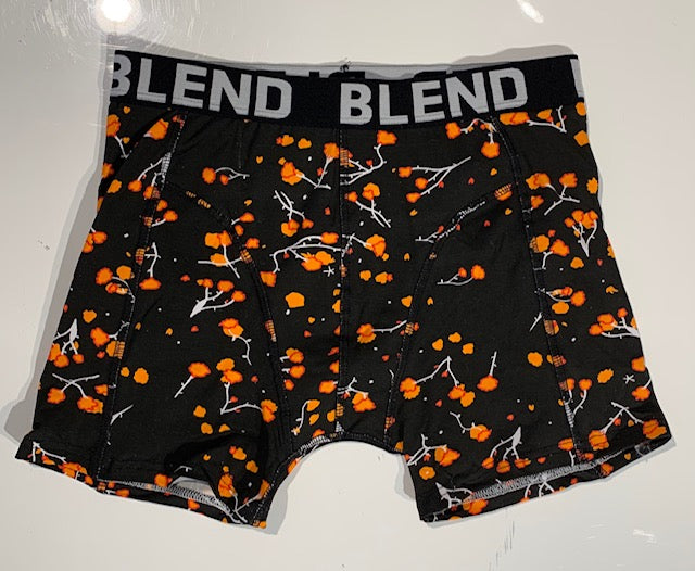 Branches Print Boxer Brief