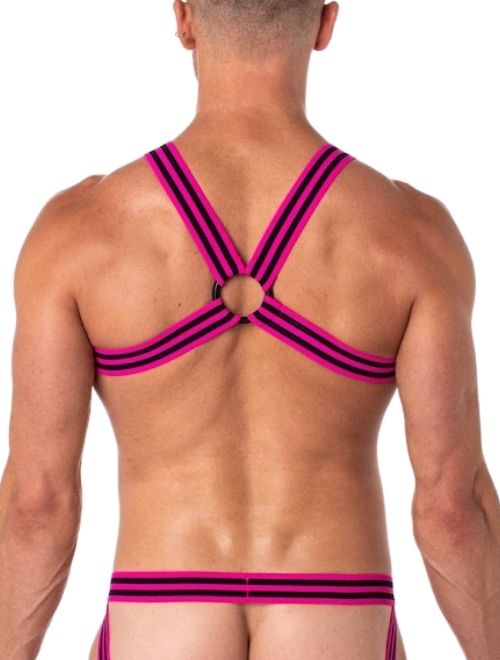 Circuit Neon Pink Strap Harness
