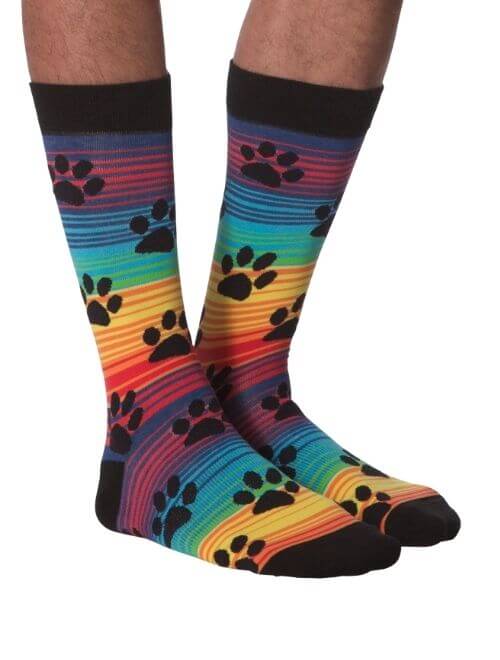 Pride Paws Socks